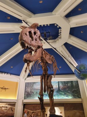 DINOSAUR by null