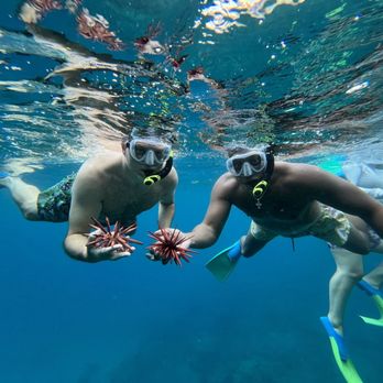 Zephyr Maui - Captured great memories with the exceptional team Zephyr Maui. - Snorkeling Near Me - Kihei, Hawaii