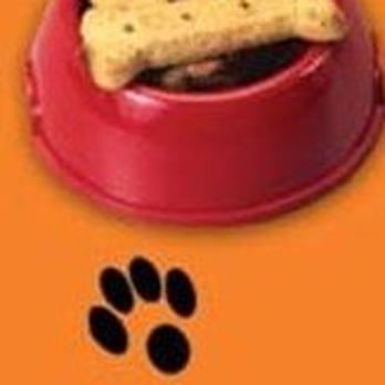 Paradise For Your Pets - Your pets will thank you! - Pet Training Near Me Paradise For Your Pets - Your pets will thank you! - Pet Training Near Me