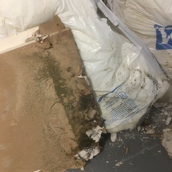 P&M Mold Pro - Removed - Damage Restoration Near Me - Montclair, New Jersey