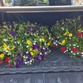 The Garden Hose - extra large hanging baskets. - Nurseries & Gardening Near Me - Puyallup, Washington