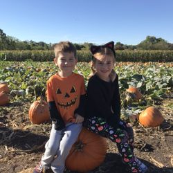 Smarty Pants Daycare & Preschool - Pumpkin picking