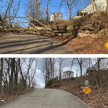 Wimer - Tree Services Near Me