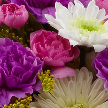 SonFlower Florist - Florists Near Me - Taylor, Texas