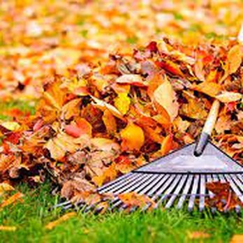 Millers Handyman - a pile of leaves and a rake - Handyman Near Me Millers Handyman - a pile of leaves and a rake - Handyman Near Me