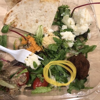 Hellenic - Beetle in my salad - Greek Near Me - Coral Springs, Florida Hellenic - Beetle in my salad - Greek Near Me - Coral Springs, Florida