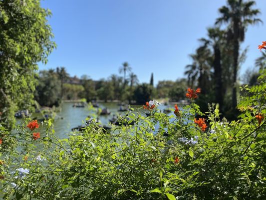 Ciutadella Park by null