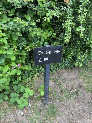 Pendennis Castle by null
