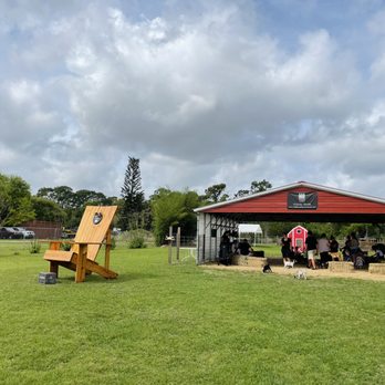 Wildflower Farm Orlando - Photo props and event area - Farms Near Me - Orlando, Florida