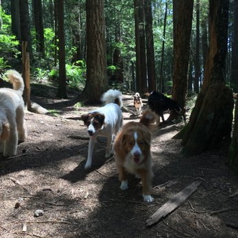 Happy Hound Adventures - Dog Walkers Near Me Happy Hound Adventures - Dog Walkers Near Me