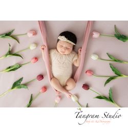 Tangram Studio Photography - Nweborn