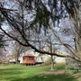 Clean Cut Tree Solutions