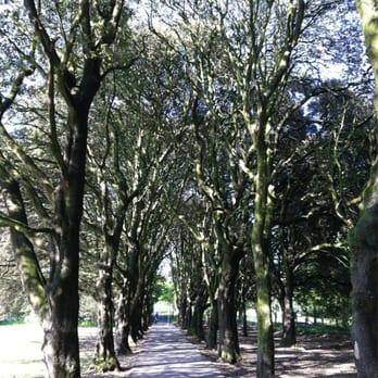 St Anne's Park - One of my fav parts of the park - Parks Near Me - Dublin, D