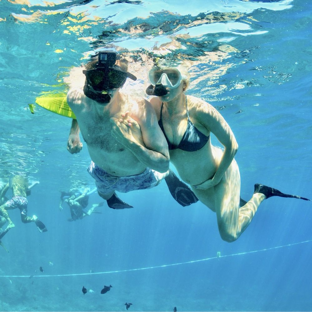 Both our snorkels and fins Both our snorkels and fins