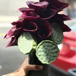 Not Just Flowers