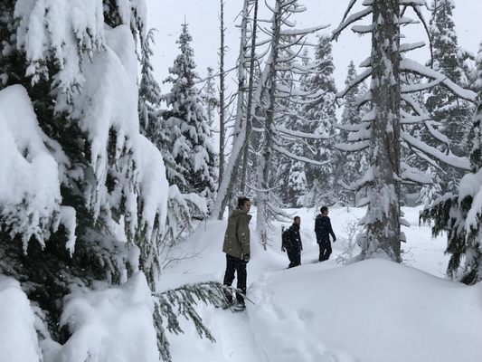 Whistler Olympic Park by null