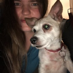 Brown's Dog Training & More