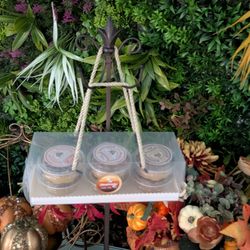 Alohamade Bites - Hawaiian Macadamia Nut Pie Flight Tarts in 6 assorted flavors, 1 box perfect for gifting: OG Vanilla, Choco, Ube, Coffee, Pumpkin, Lilikoi