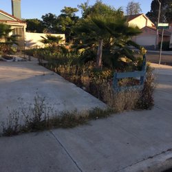 High Five Yard Care - Front Yard Weeding and Tree Trimming.  Before photo