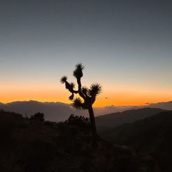 Keys View - Sunset, Joshua Tree National Park