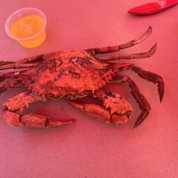 Blue Crabs