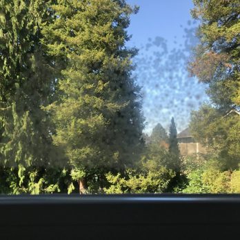 Milgard Windows & Doors - Failed double-pane unit with goop between the panes - Door Sales/Installation Near Me - Tualatin, Oregon