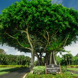 Banyan Golf Club