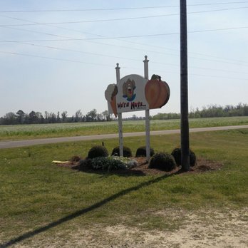 Ellis Bros Pecans - Specialty Food Near Me - Vienna, Georgia Ellis Bros Pecans - Specialty Food Near Me - Vienna, Georgia
