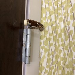 Holiday Inn Express & Suites Conway