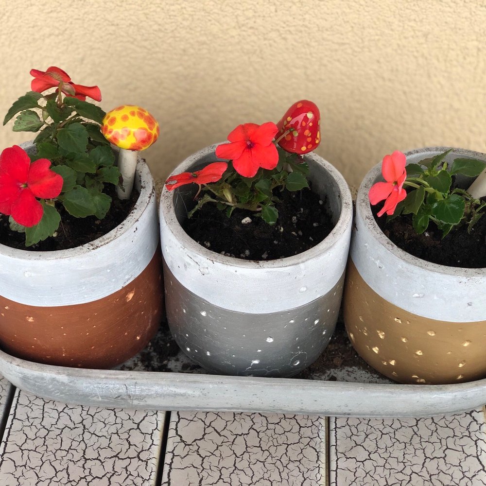 Colonial Nursery - three pots with flowers in them - Nurseries & Gardening Near Me - Lincroft, New Jersey