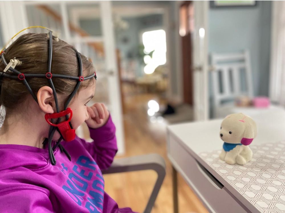 Brainboost Neurofeedback - reading tutor in Prospect, KY