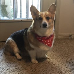 Miso after her spa day :)