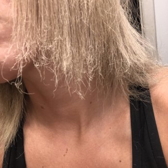 Hair By Ana Dalla Valle - Textbook fried and no grey - Hair Stylists Near Me - Riverview, Florida Hair By Ana Dalla Valle - Textbook fried and no grey - Hair Stylists Near Me - Riverview, Florida