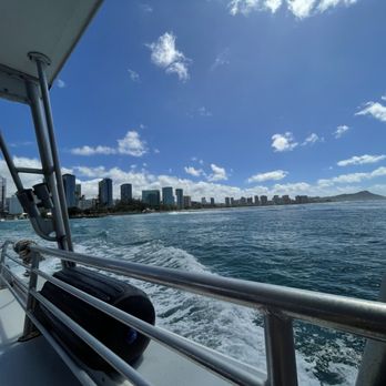 Living Ocean Tours - Snorkeling Near Me - Honolulu, Hawaii Living Ocean Tours - Snorkeling Near Me - Honolulu, Hawaii