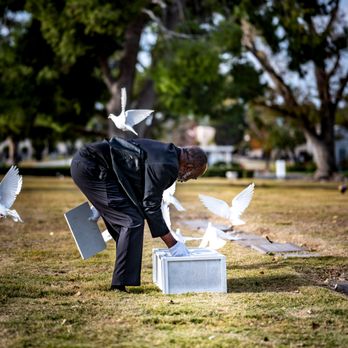 Susan's Flying Doves - humanely treated and cared for with love. - Wedding Planning Near Me - Bonita, California Susan's Flying Doves - humanely treated and cared for with love. - Wedding Planning Near Me - Bonita, California