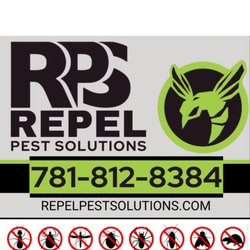 REPEL Pest Solutions - Home Preventative Pest Control Starting @ $475 for the entire year.