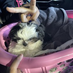 Sandee's Water & Ice - Did in a basket