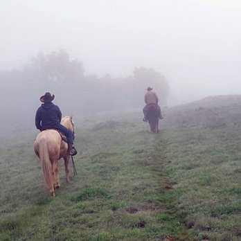 Rammerstorfer Training - Christian (right) and student (left) on post-lesson trail ride in the morning mist. - Horseback Riding Near Me - Clements, California Rammerstorfer Training - Christian (right) and student (left) on post-lesson trail ride in the morning mist. - Horseback Riding Near Me - Clements, California
