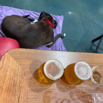 Blue Fire Brewing - Brewpubs Near Me - San Marcos, California