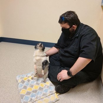 Mountain Empire Veterinary Services - Me saying goodbye to her while crying and tell her that she couldn't be with me. - Veterinarians Near Me - Spokane Valley, Washington Mountain Empire Veterinary Services - Me saying goodbye to her while crying and tell her that she couldn't be with me. - Veterinarians Near Me - Spokane Valley, Washington