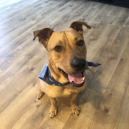 My cutie pie, Six