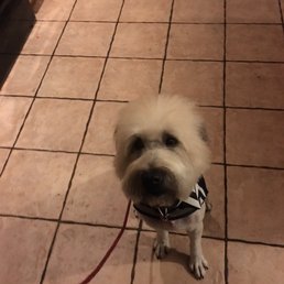 She is a lot shorter than we wanted but that is no ones fault but ours. :-( Ben was AWESOME!!!