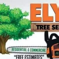 Ely's Tree Service - YOU CAN CALL FOR FREE ESTIMATE