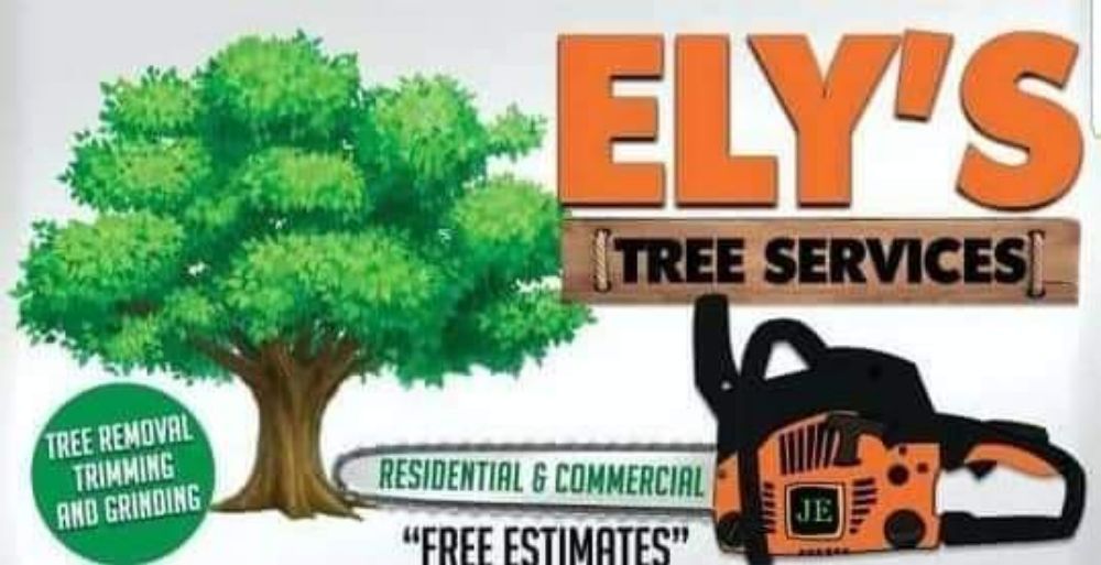 Ely's Tree Service - tree service in Westerville, OH