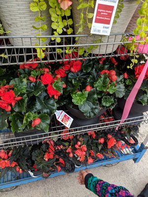 walmart vienna west virginia phone number