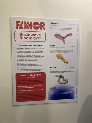 Museum of Food and Drink (MOFAD) by null