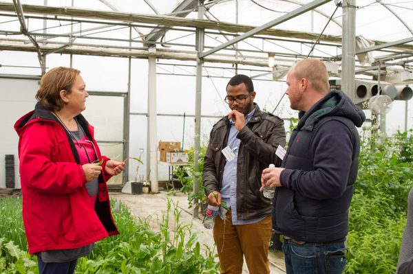 The Chef's Garden by null