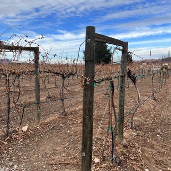 Spanish Valley Vineyard & Winery - a vineyard with vines in the foreground - Venues & Event Spaces Near Me - Moab, Utah Spanish Valley Vineyard & Winery - a vineyard with vines in the foreground - Venues & Event Spaces Near Me - Moab, Utah