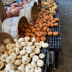 Marini Farm