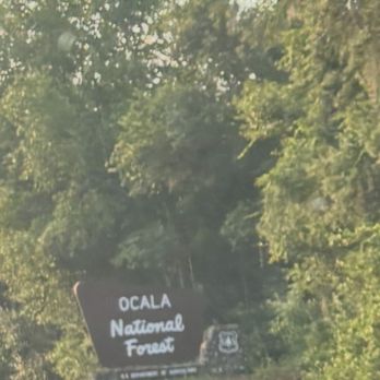 Ocala National Forest - Parks Near Me - Silver Springs, Florida